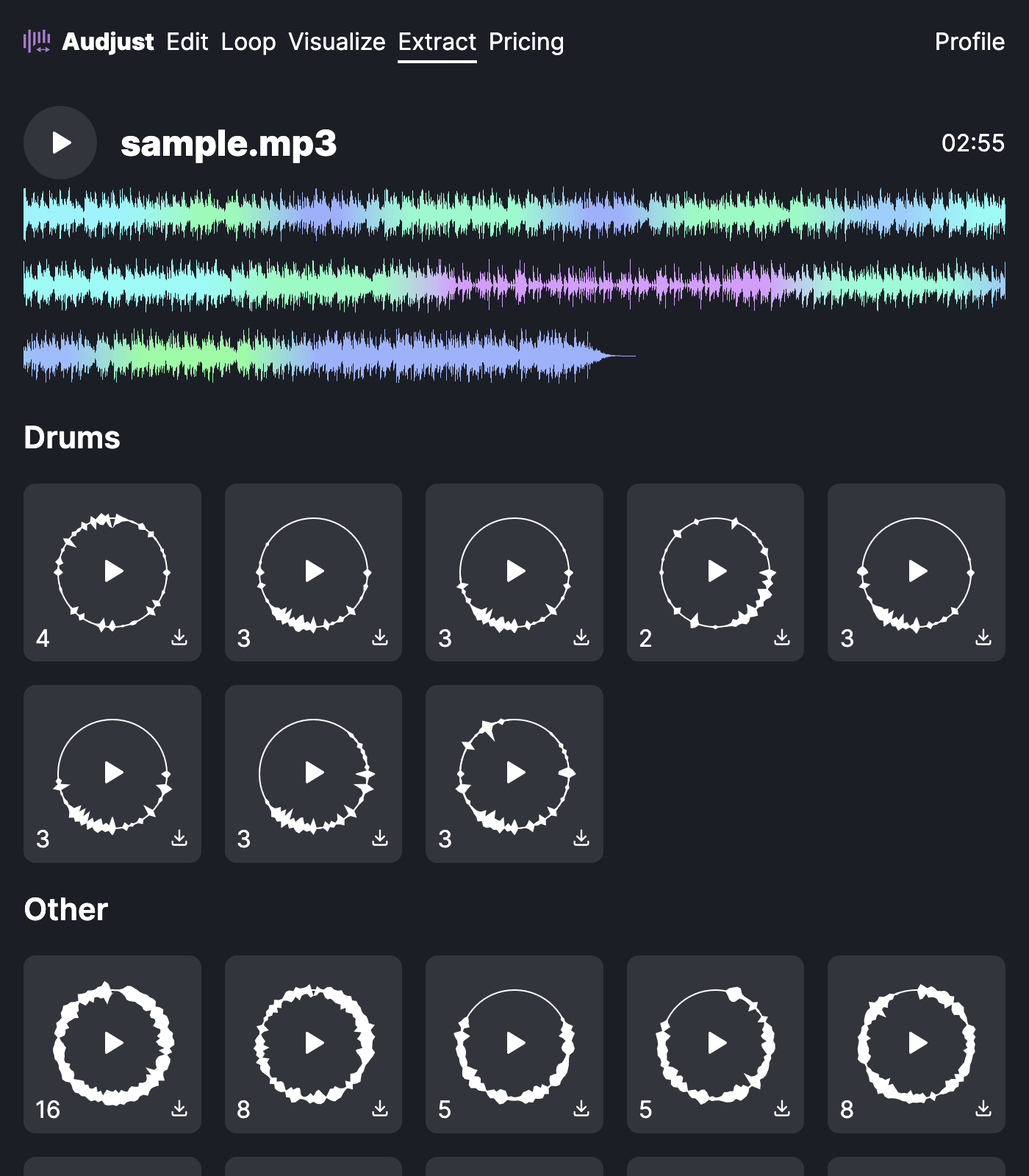 Screenshot of the application in extract mode