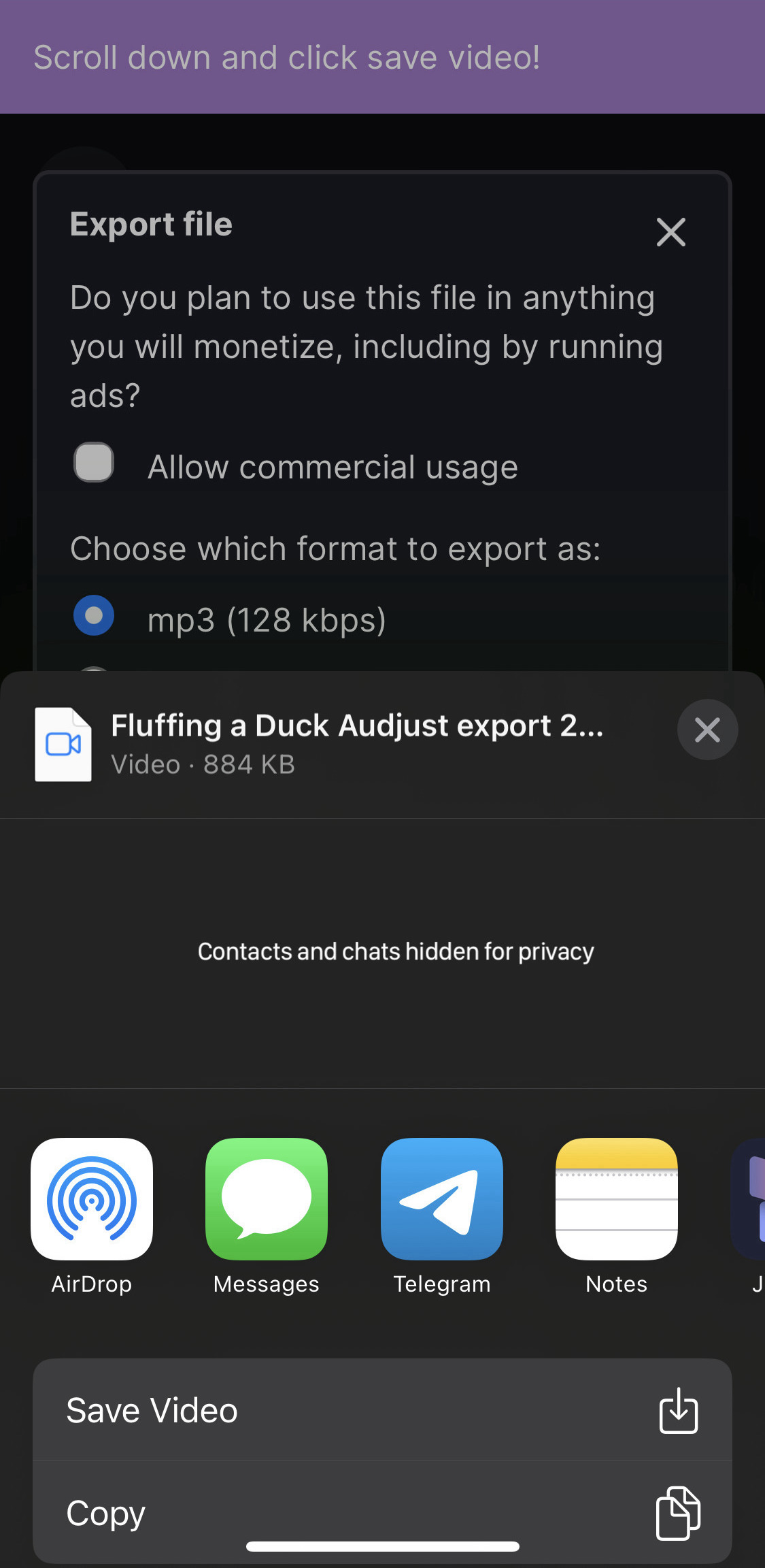 Screenshot of the iOS share sheet with the video being offered to be shared and saved